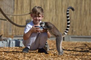 Dziecko karmiące lemura