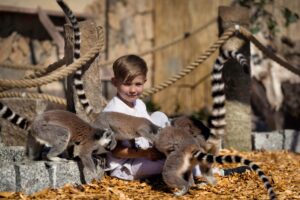 Dziecko z lemurami