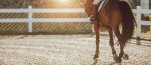 Galop